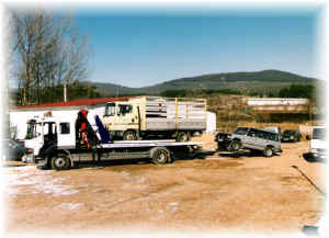 GRUA 1.jpg (105158 bytes)